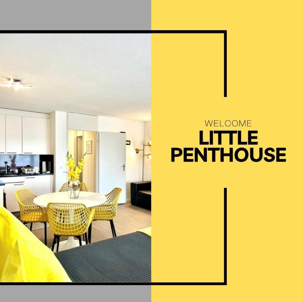 Little Penthouse **** Daire Dietikon Dış mekan fotoğraf
