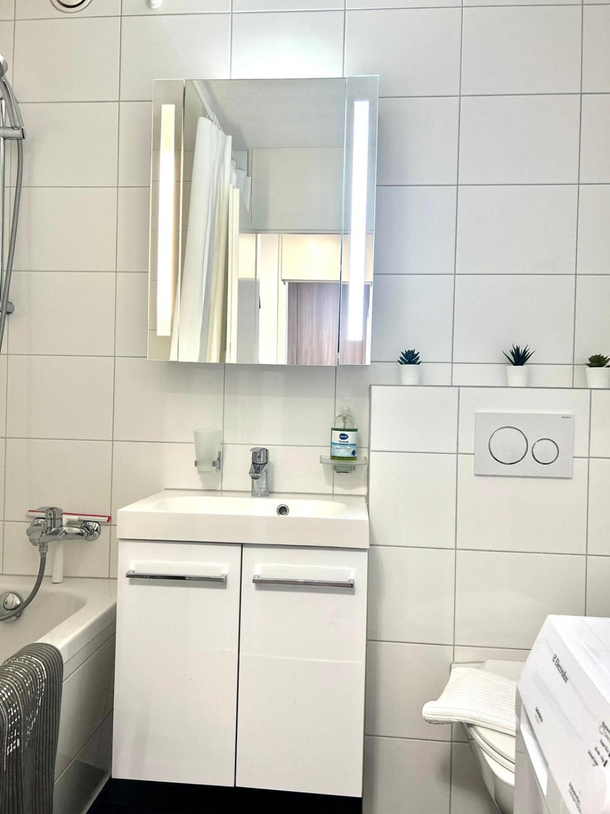 Little Penthouse **** Daire Dietikon Dış mekan fotoğraf