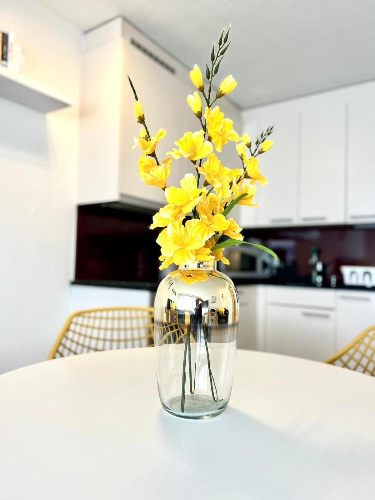 Little Penthouse **** Daire Dietikon Dış mekan fotoğraf