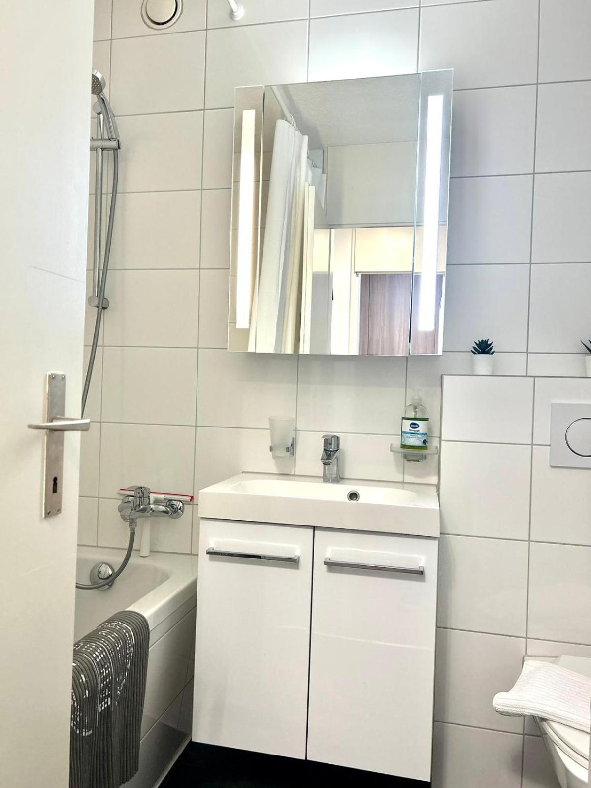 Little Penthouse **** Daire Dietikon Dış mekan fotoğraf