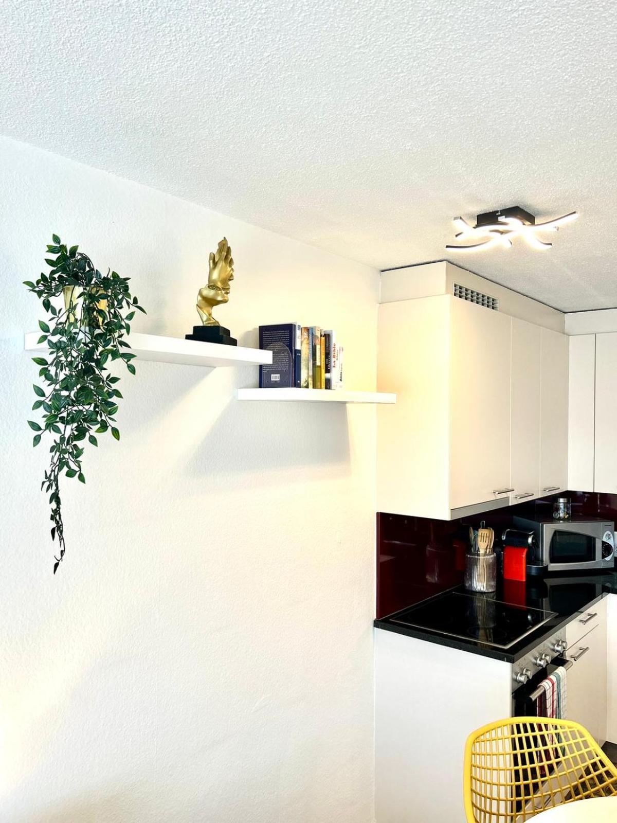 Little Penthouse **** Daire Dietikon Dış mekan fotoğraf