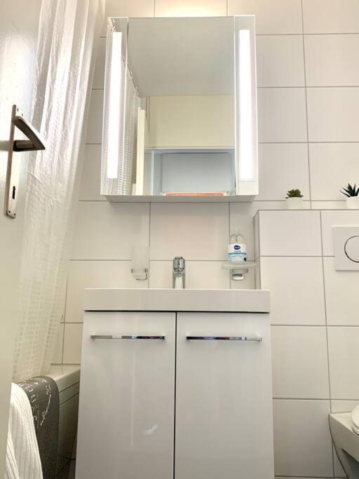 Little Penthouse **** Daire Dietikon Dış mekan fotoğraf