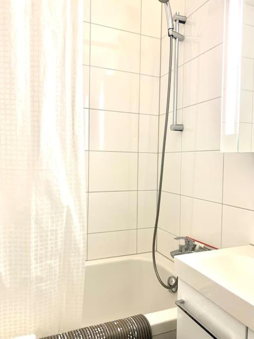 Little Penthouse **** Daire Dietikon Dış mekan fotoğraf