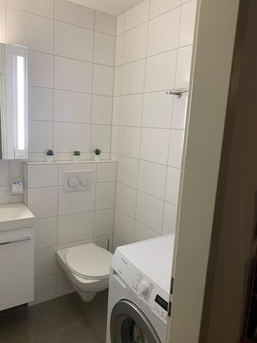 Little Penthouse **** Daire Dietikon Dış mekan fotoğraf
