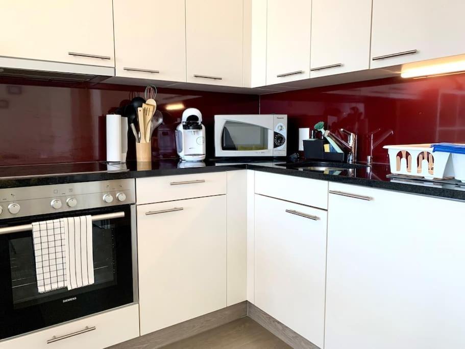 Little Penthouse **** Daire Dietikon Dış mekan fotoğraf