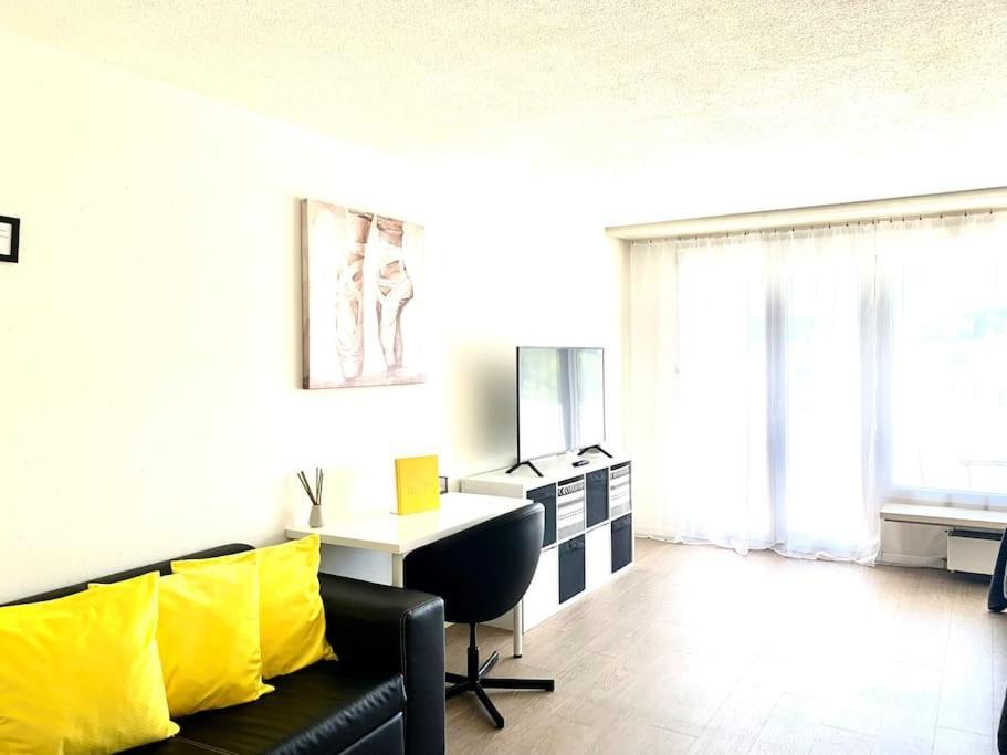 Little Penthouse **** Daire Dietikon Dış mekan fotoğraf